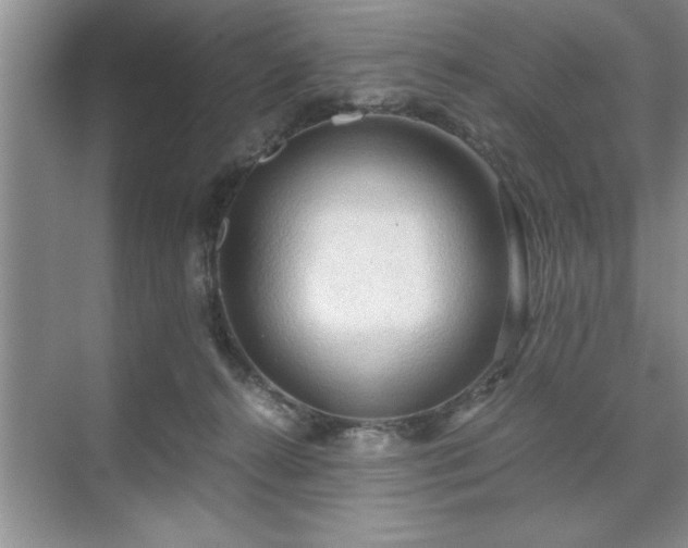 X0000071760272200607071243