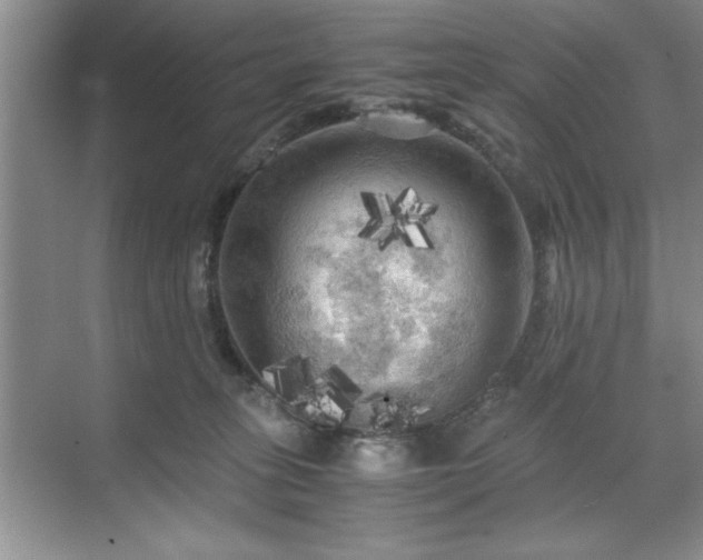 X0000071760275200607071244