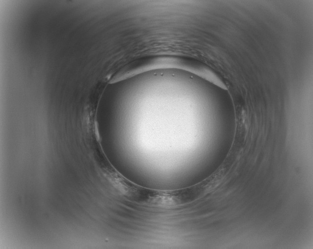 X0000071760276200607071244