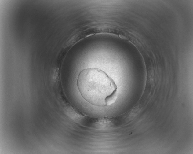 X0000071760278200607071244