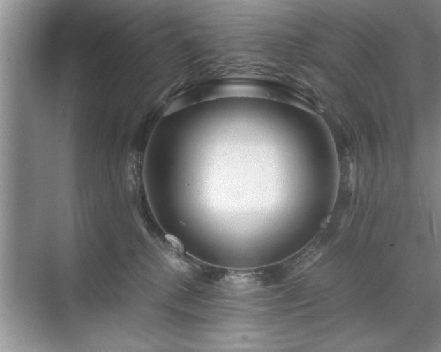 X0000071760280200607071244