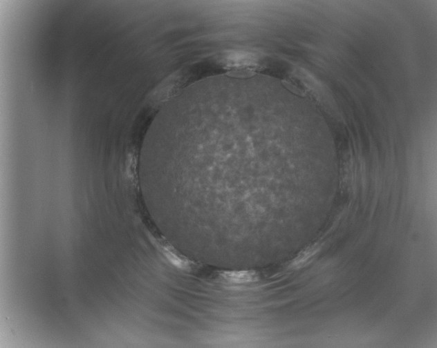 X0000071760281200607071244