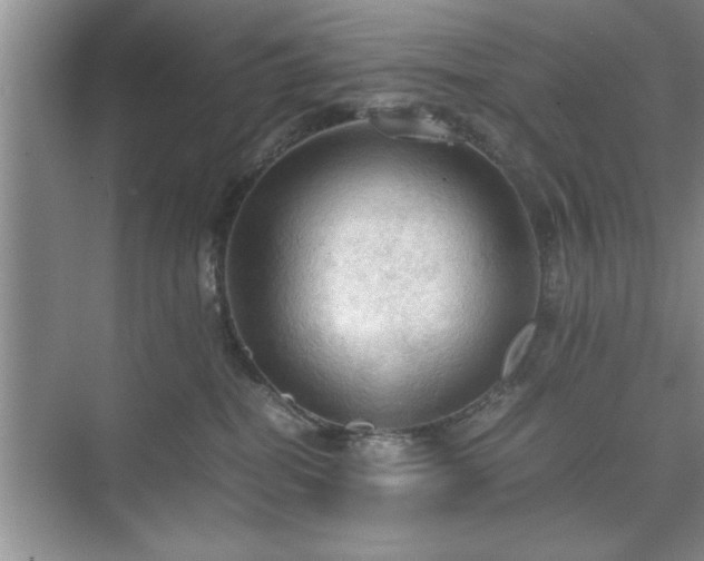 X0000071760282200607071244