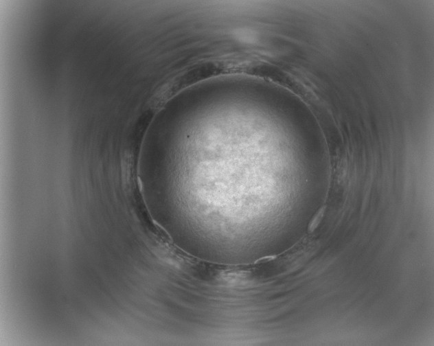 X0000071760283200607071244