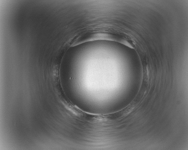 X0000071760284200607071244