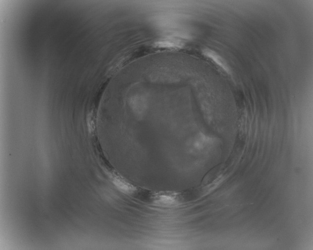 X0000071760285200607071244