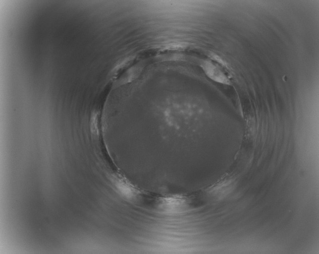 X0000071760286200607071244