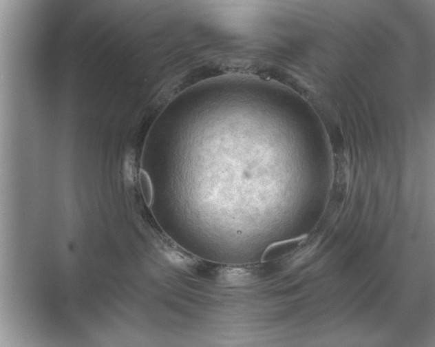 X0000071760287200607071244