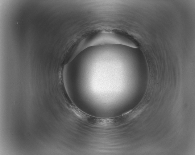 X0000071760288200607071244