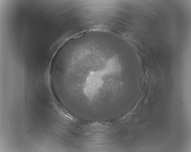 X0000071760290200607071243