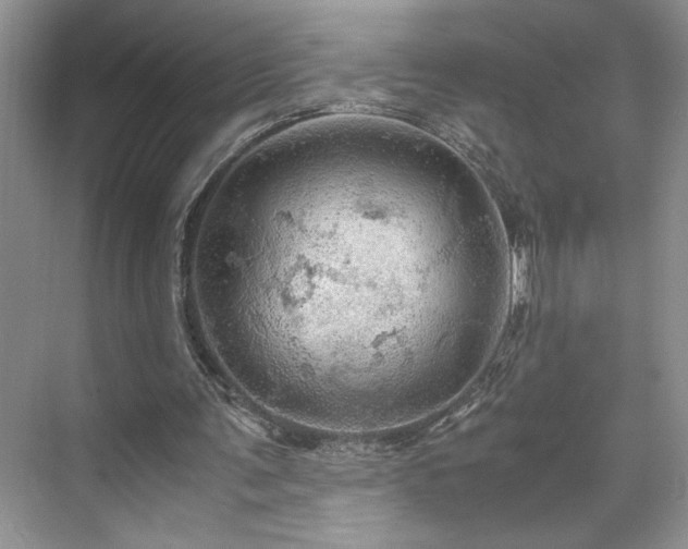 X0000071760291200607071243