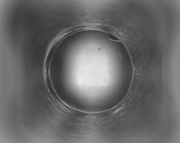 X0000071760294200607071243