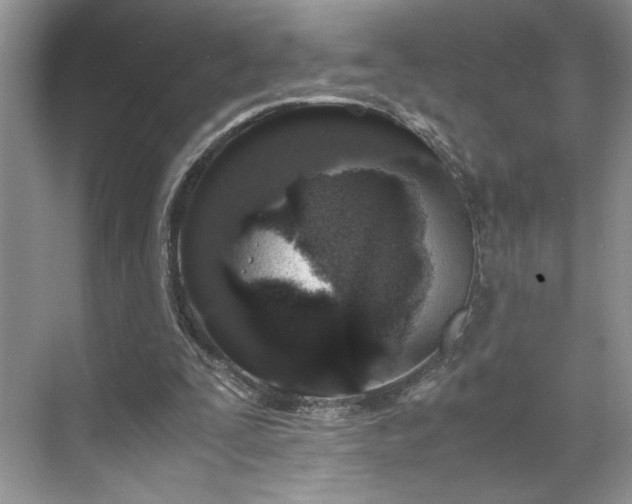 X0000071760295200607071243