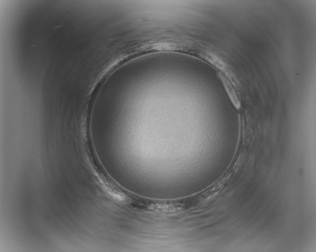 X0000071760297200607071243