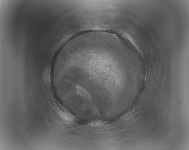 X0000071760299200607071243