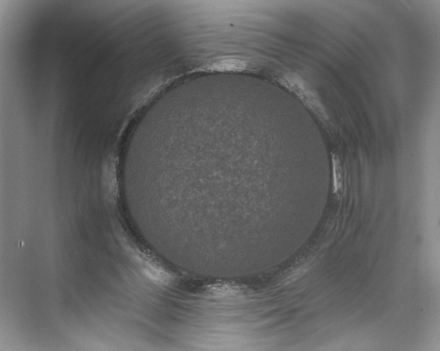 X0000071760300200607071243