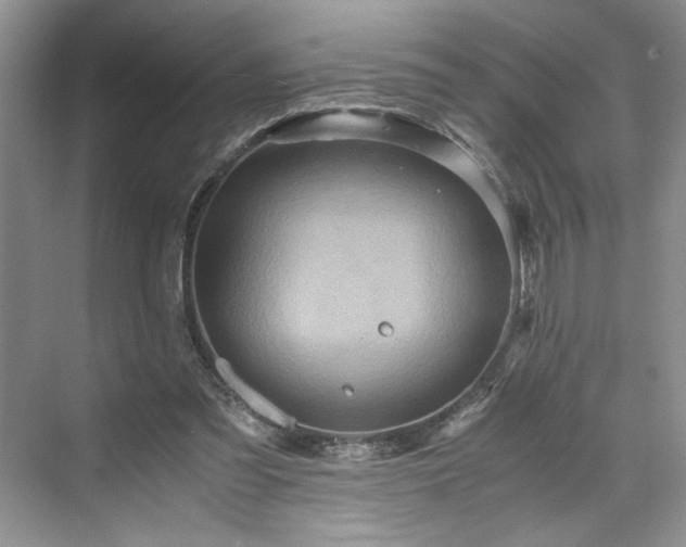 X0000071760301200607071243