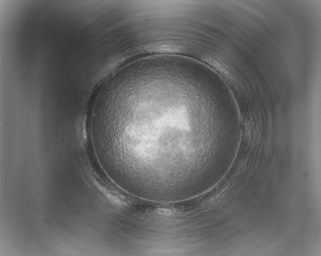 X0000071760302200607071243