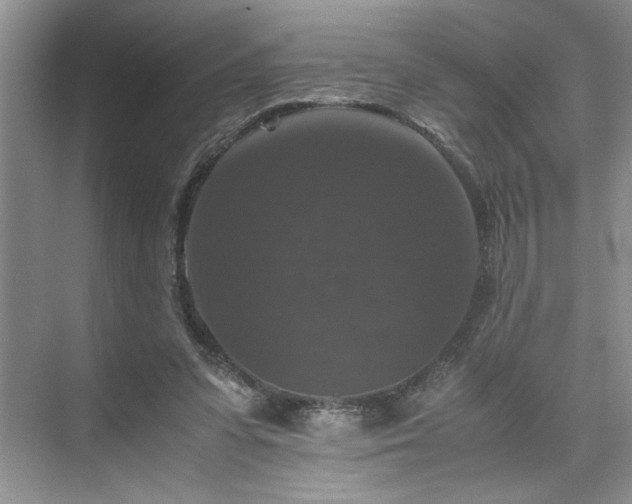 X0000071760303200607071243