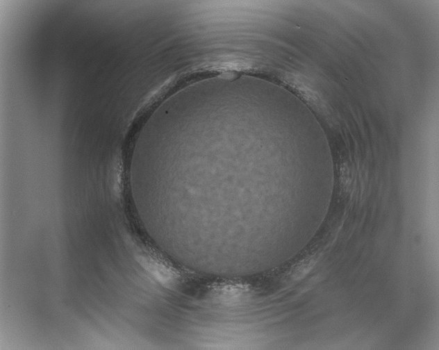 X0000071760304200607071243