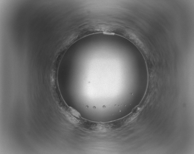 X0000071760305200607071243