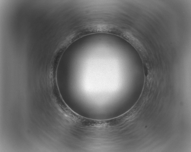 X0000071760306200607071243