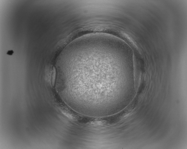 X0000071760307200607071243