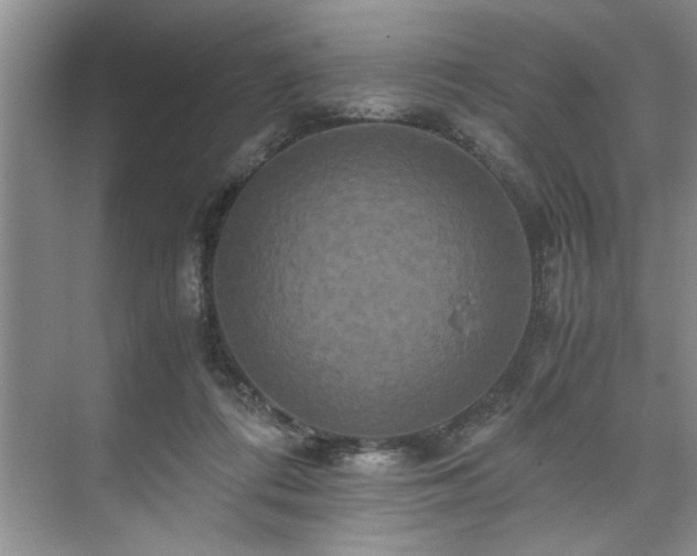 X0000071760312200607071243