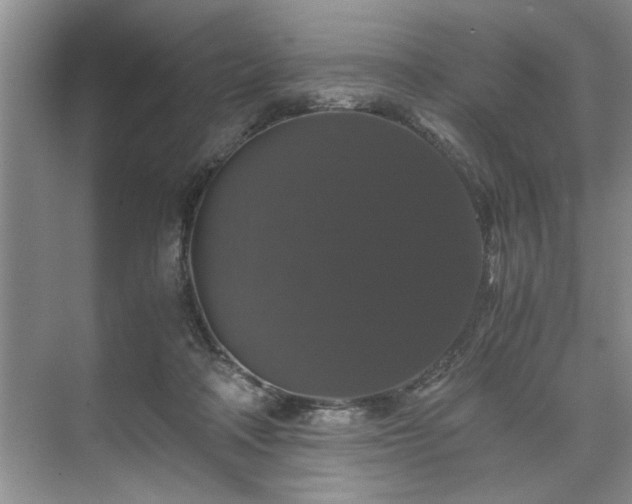 X0000071760314200607071242