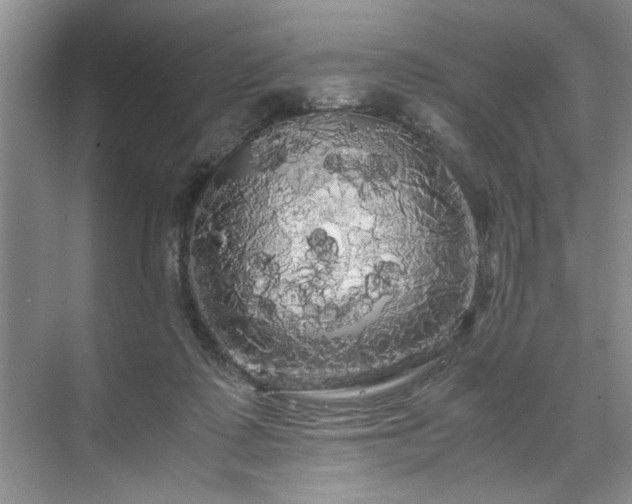 X0000071760315200607071242