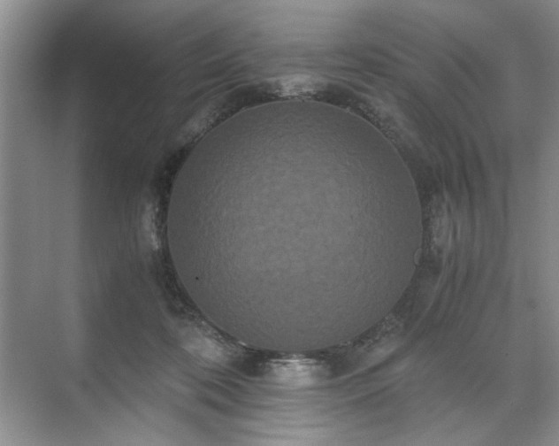 X0000071760316200607071242