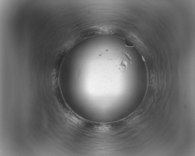 X0000071760318200607071242