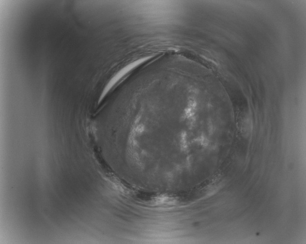 X0000071760319200607071242