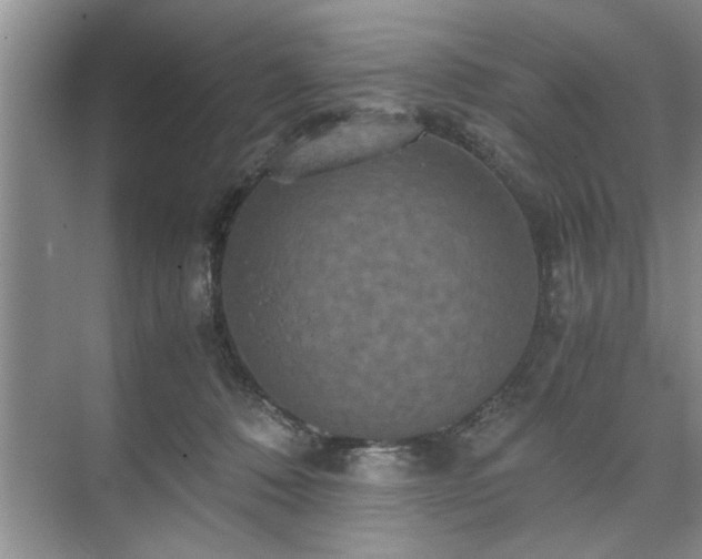 X0000071760320200607071242