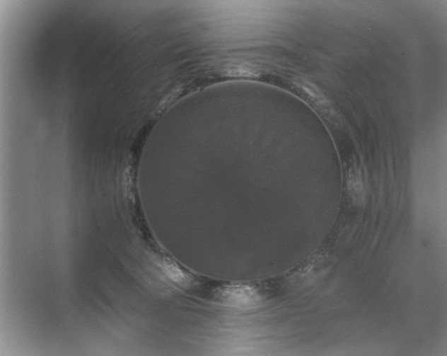 X0000071760322200607071242