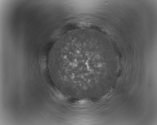 X0000071760323200607071242