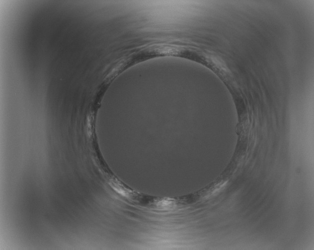 X0000071760325200607071242