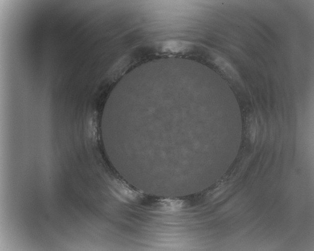 X0000071760328200607071242