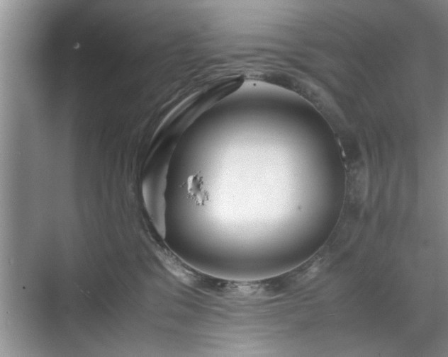 X0000071760329200607071242