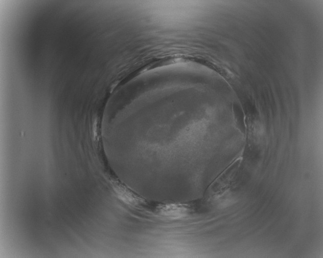 X0000071760331200607071242