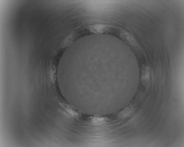 X0000071760332200607071242