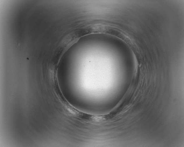 X0000071760333200607071242