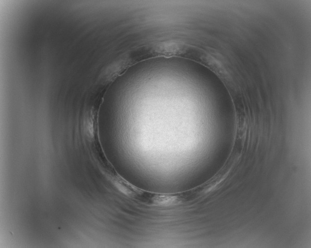 X0000071760334200607071242