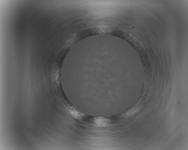 X0000071760336200607071242