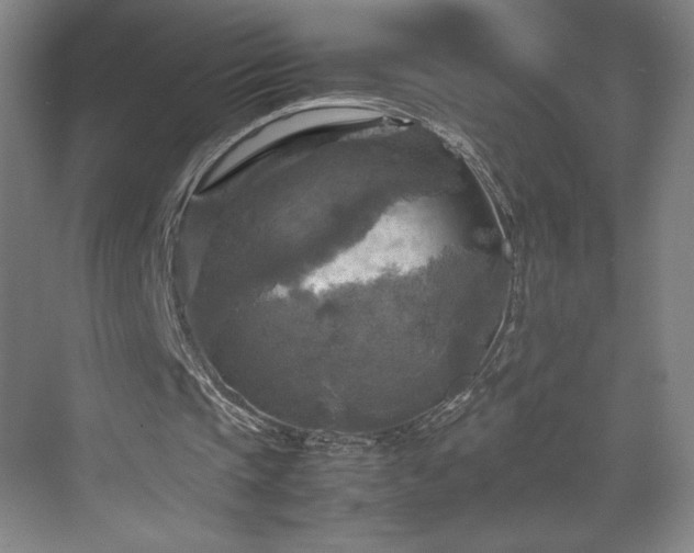 X0000071760337200607071241