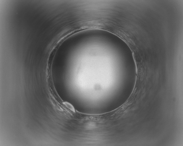 X0000071760338200607071241