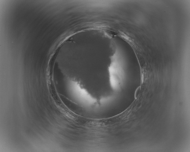 X0000071760339200607071241