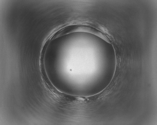 X0000071760340200607071241