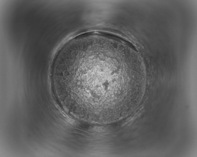 X0000071760341200607071241