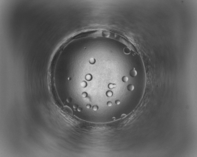 X0000071760342200607071241